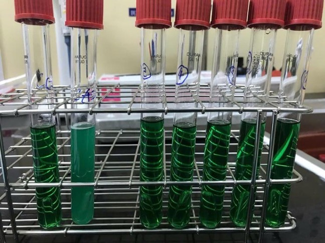 Bệnh viện răng hàm mặt trung ương TPHCM