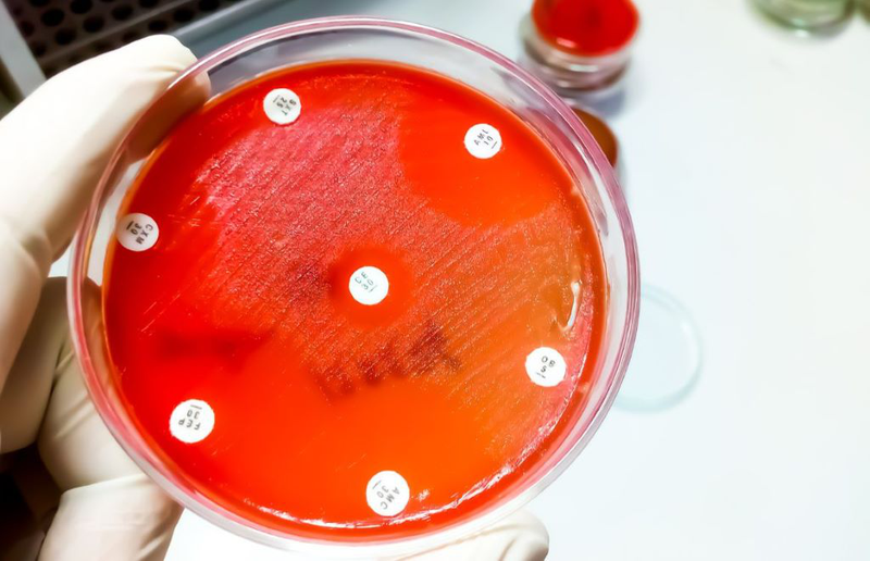 Bệnh viện răng hàm mặt trung ương TPHCM